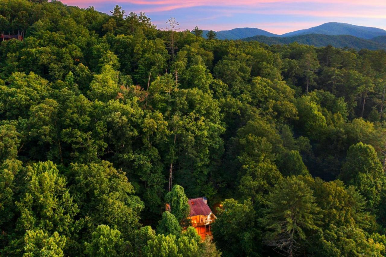 Cozy Cabin Retreat - Hot Tub, Fireplace & Fire Pit Blue Ridge Extérieur photo